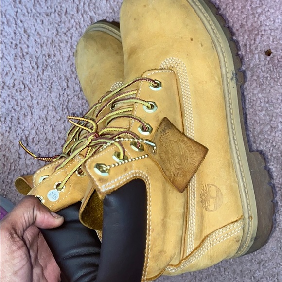 timberlands - Picture 2 of 3